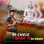 Tere Chele Baba Ji Dj Remix Album Download