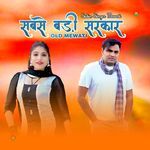 सबसे बड़ी सरकार ओल्ड मेवाती Album Download