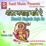 D. Shadagi Songs MP3 Download