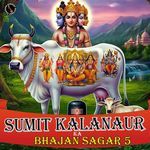 Sumit Kalanaur Ka Bhajan Sagar 5 Album Download