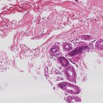 Ghostpoet Songs MP3 Download