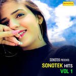 Sonotek Hits, Vol. 1 - Minakshi Sharma Song Download