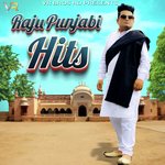 Raju Punjabi Hits Album Download