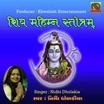 Nidhi Dholakia Songs MP3 Download