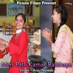 Meri Patli Kamar Balkhaye Album Download