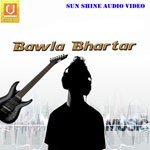 Bawla Bhartar - Minakshi Panchal Song Download