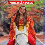 Mera Dil ka Tukda - Harish Singer Song Download
