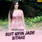 Suit Mein Jade Sitare - Lalita Sharma Song Download