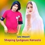 Shoping Gudgawa Karwala Album Download