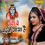 Nandi Pe Chad Ke Aya Hai Album Download