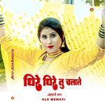 धीरे धीरे तु चलाले अपनो काम ओल्ड मेवाती Album Download
