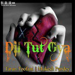 Tarun Toofani Songs MP3 Download