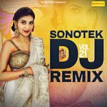 Sonotek Dj Remix Vol 21 Album Download