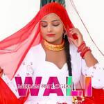 Medam Lal Logda Wali Album Download
