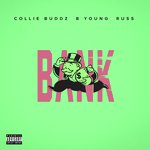 Collie Buddz Songs MP3 Download