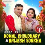Hits Of Komal Choudhary & Brijesh Sorkha Vol. 1 Album Download