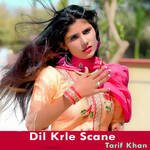 Dil Krle Scane - Tarif Khan Song Download