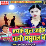 Pintu Premi Songs MP3 Download