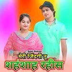 मेरी जिंदगी तू शहंशाह रहीस Album Download