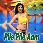 Pile Pile Aam Album Download