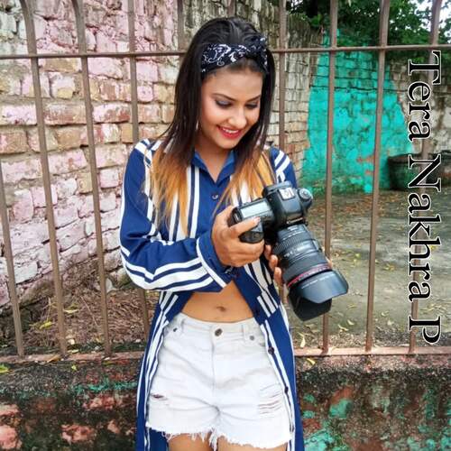 Tera Nakhra P Sahin Chanchal Mewati MP3 Download