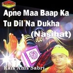 Rais Anis Sabri Songs MP3 Download